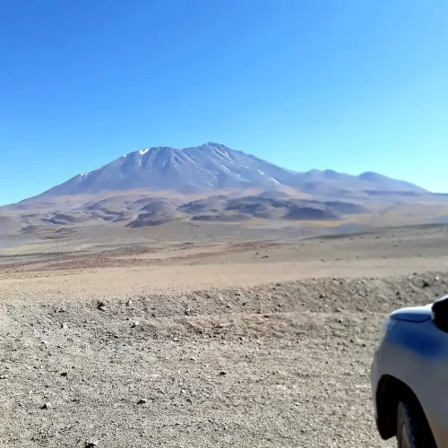 servicios geofisicos (15)