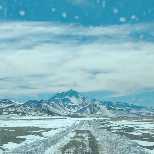 servicios geofisicos (16)