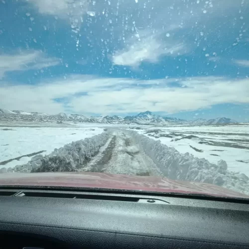 servicios geofisicos (21)