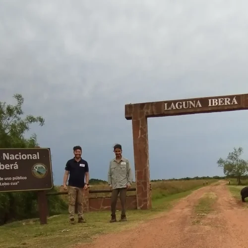 servicios geofisicos (22)