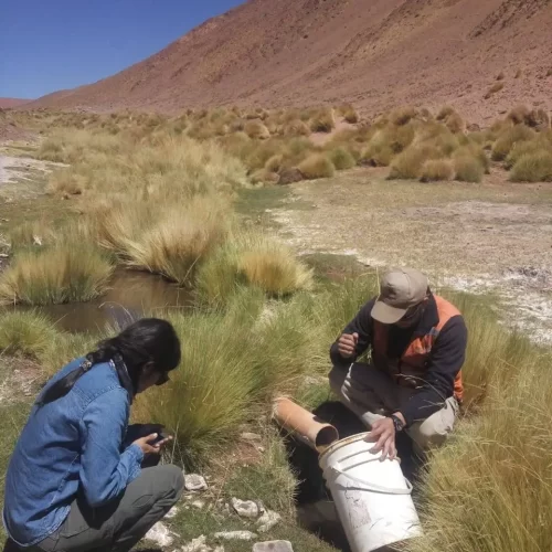 servicios geofisicos (23)