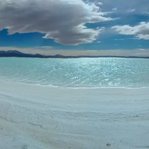 servicios geofisicos (4)