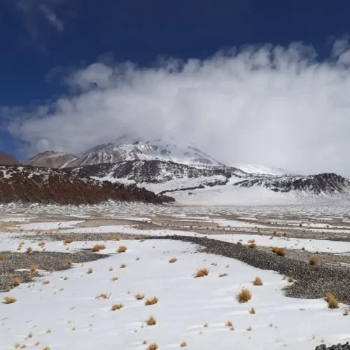 servicios geofisicos (5)