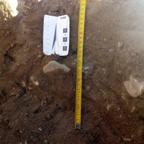 servicios geofisicos (51)