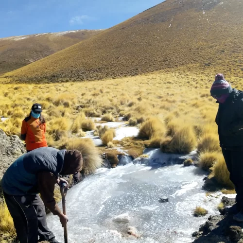 servicios geofisicos (53)